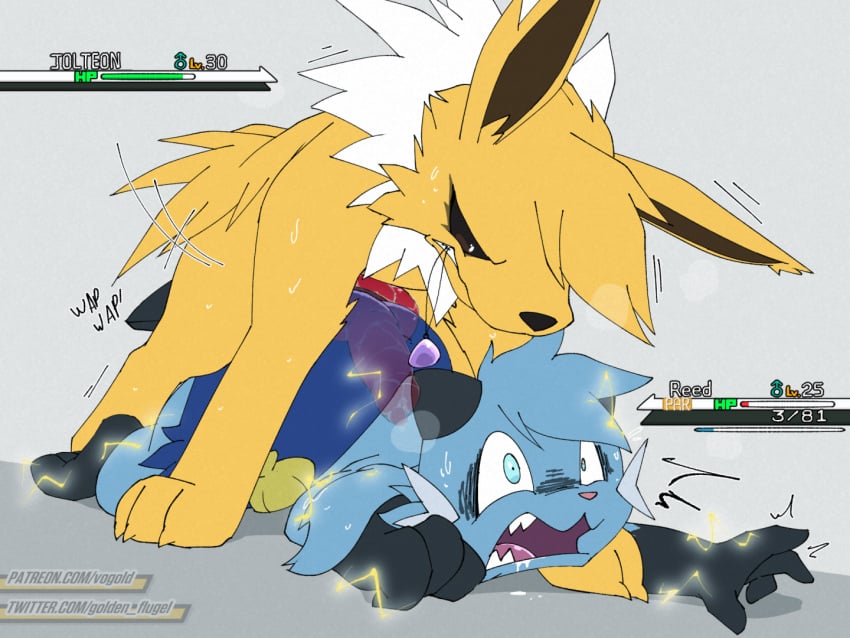 anal anal_sex animal_genitalia animal_penis anthro anthro_on_feral bodily_fluids canid canine canine_genitalia canine_penis canis cum dewott digital_media_(artwork) drooling duo eeveelution electricity electrostimulation erection feral forced fur generation_1_pokemon generation_5_pokemon genital_fluids genitals internal jolteon knot looking_surprised male male/male male_penetrated male_penetrating male_penetrating_male mammal mustelid nintendo otter paralyzed penetration penis pokemon pokemon_(species) rape saliva sex vogold zoophilia