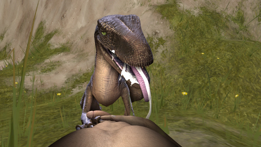 3d after_sex cum cum_in_mouth cum_inside cum_on_tongue dinosaur fellatio feral half-erect human humanoid_penis indoors licking looking_at_viewer mammal oral penis pov raptor source_filmmaker sumeriandragon theropod tongue tongue_out zoophilia