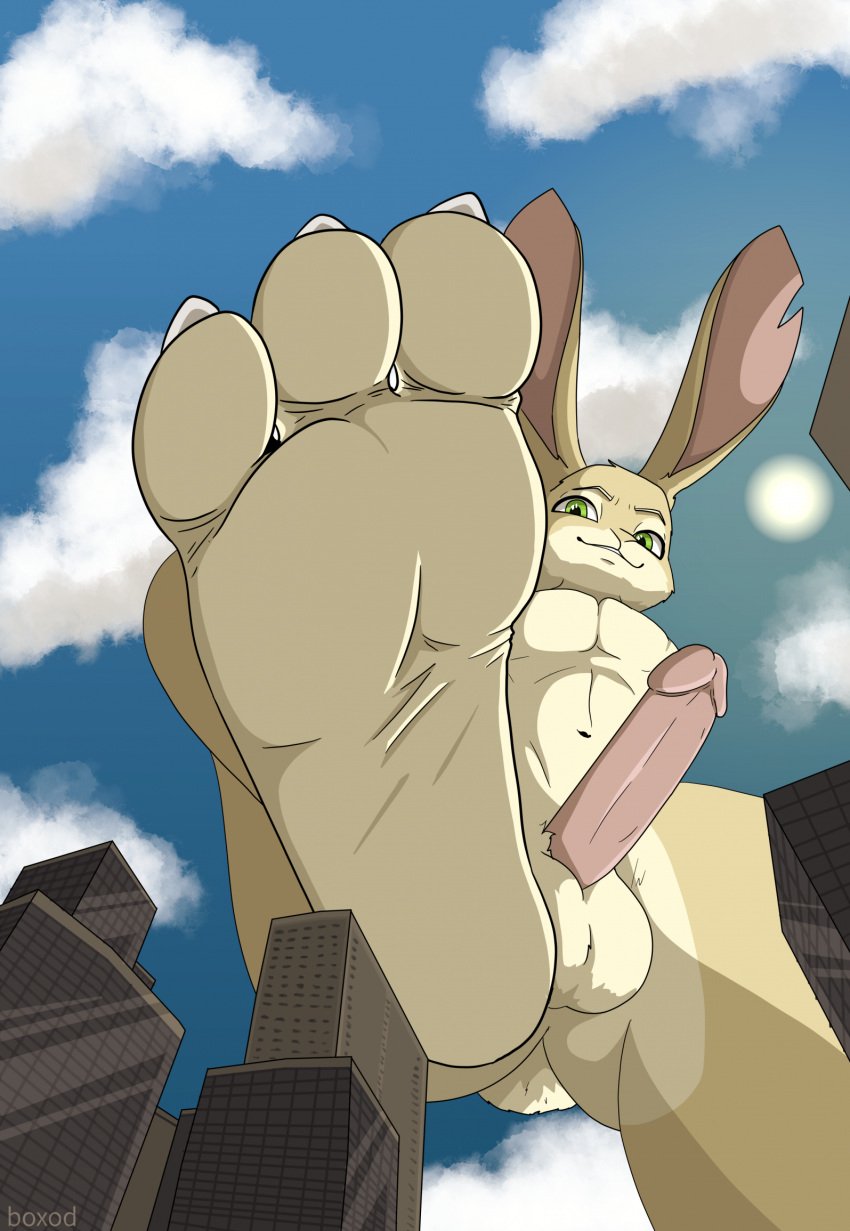 2023 3_toes anthro athletic athletic_anthro athletic_male balls big_balls big_feet big_penis biped boxod42 building city claws cloud day digital_drawing_(artwork) digital_media_(artwork) erection eyebrows feet fur genitals glans green_eyes hi_res humanoid_genitalia humanoid_penis lagomorph leporid low-angle_view macro macro_anthro macro_male male mammal navel nude outside paws pecs penis plantigrade quinn_(boxod42) rabbit raised_foot smile smirk soles solo solo_focus stomping tail tan_body tan_fur toes white_claws worm's-eye_view