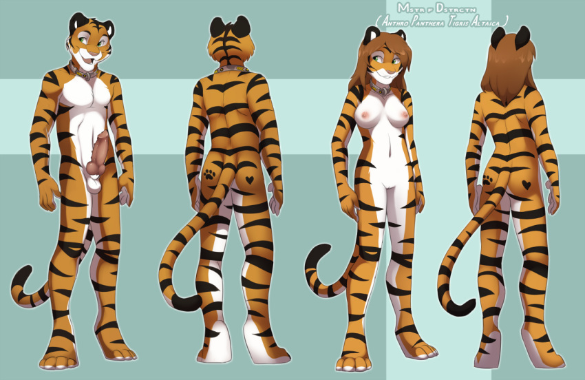 2013 anthro balls barbed_penis breasts brown_hair collar duo english_text erection feline female green_eyes hair heart jailbird knot male mammal model_sheet mstr nipples nude pawprint penis pussy rule_63 simple_background smile standing text tiger