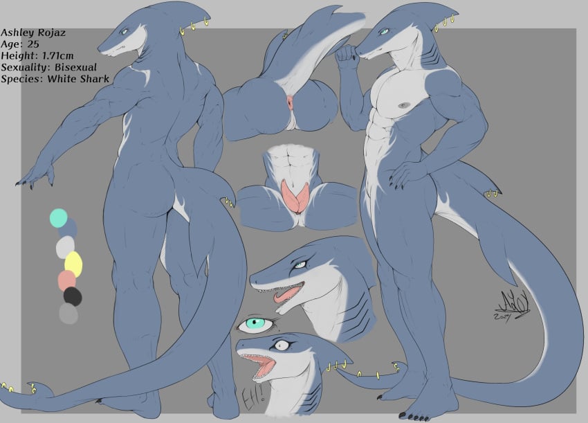 2_penises absurd_res aloy27 anthro anus claws femboy fish furgonomics furry-specific_piercing genitals hi_res humanoid mackerel_shark makeup male marine model_sheet multi_genitalia multi_penis muscular muscular_male penis piercing shark solo tail tail_piercing thick_thighs white_shark