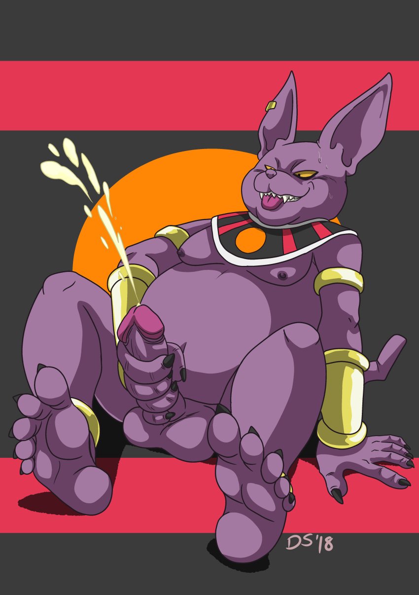 absurd_res anthro balls belly big_belly bodily_fluids bracelet champa cum cumshot digital_media_(artwork) domestic_cat dragon_ball dragon_ball_super ear_piercing ear_ring ejaculation feet felid feline felis genital_fluids genitals hairless hairless_cat hi_res humanoid_genitalia humanoid_penis jewelry male mammal masturbation moobs navel nipples overweight overweight_anthro overweight_male penile penile_masturbation penis piercing ring_piercing sitting solo sphynx_(cat) tail thedirtyshark tongue tongue_out yellow_sclera