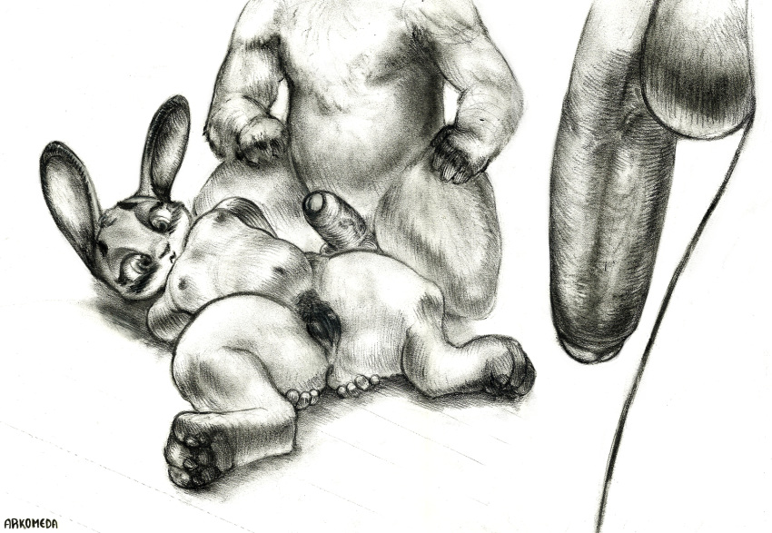 2016 anthro arkomeda ass big_penis black_and_white blush breasts crouching disney female flat_chest fur grey_fur hair hi_res imminent_sex interspecies judy_hopps lagomorph long_ears lying male mammal monochrome muscular nipples nude pawdaws paws pencil_(artwork) penis presenting pussy rabbit spread_ass spreading traditional_media_(artwork) zootopia