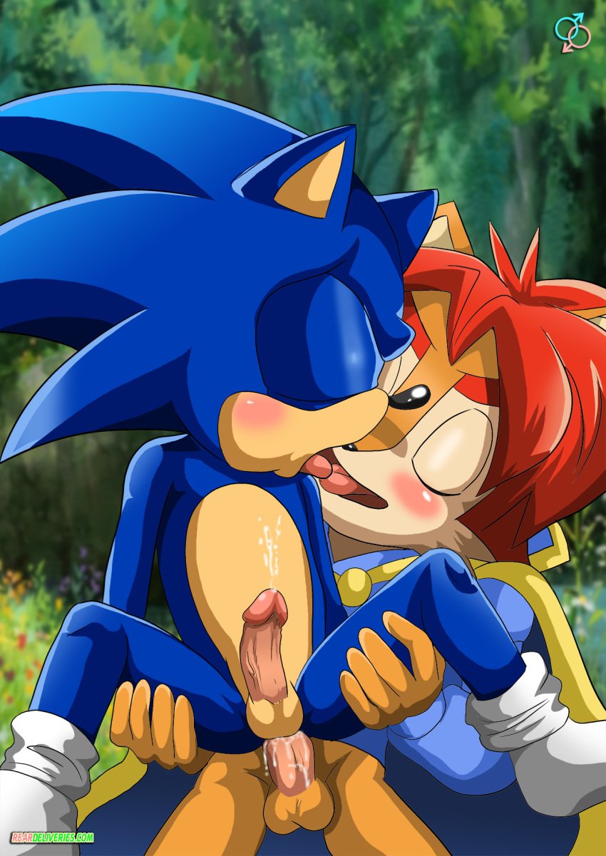 2boys anal bbmbbf blue_fur elias_acorn furry furry_only gay hedgehog mammal multiple_boys palcomix rear_deliveries sega sex sonic_(series) sonic_the_hedgehog yaoi