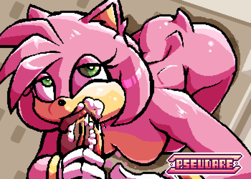Amy Rose (Sonic (Series)) Rule 34 Image