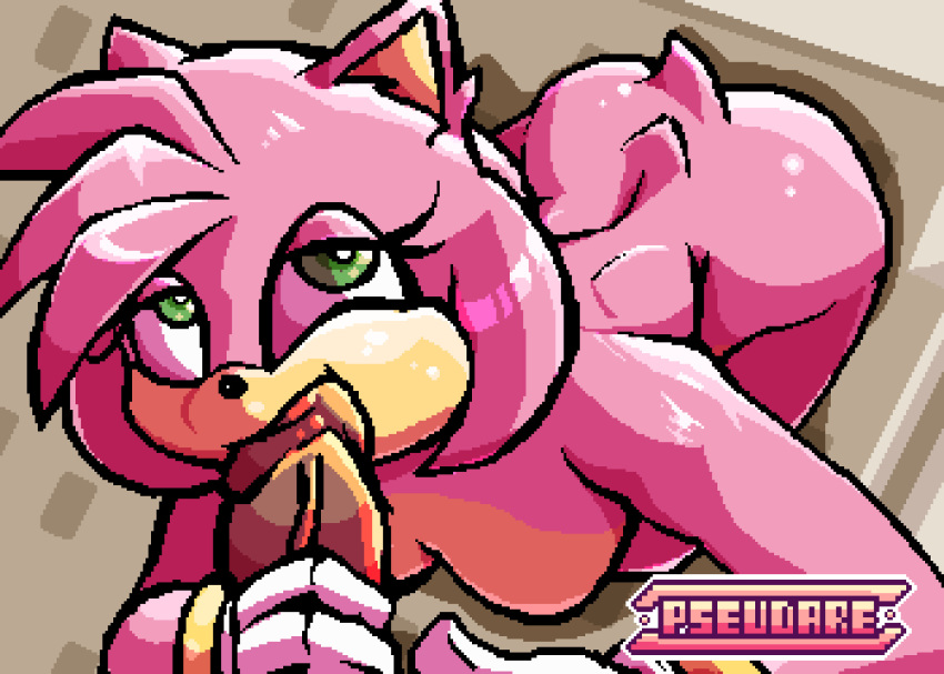 Amy Rose (Sonic (Series)) Rule 34 Image