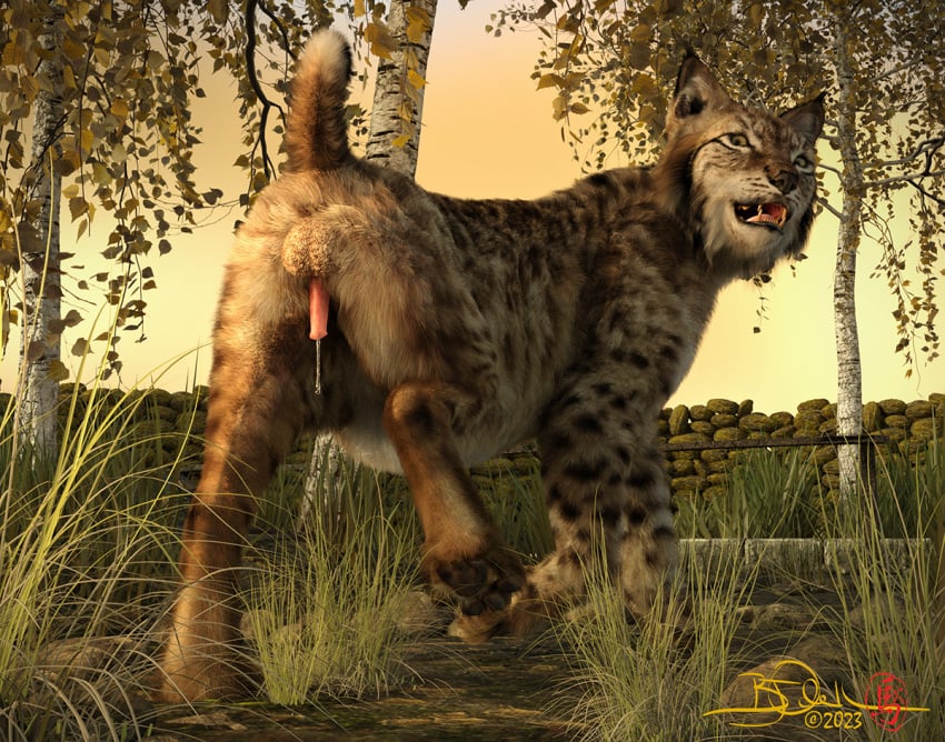 3d balls digital_media_(artwork) felid feline feral genitals grass looking_at_viewer looking_back looking_back_at_viewer low-angle_view lynx male mammal open_mouth open_smile outside pawpads penis plant presenting raised_leg sherwood smile solo