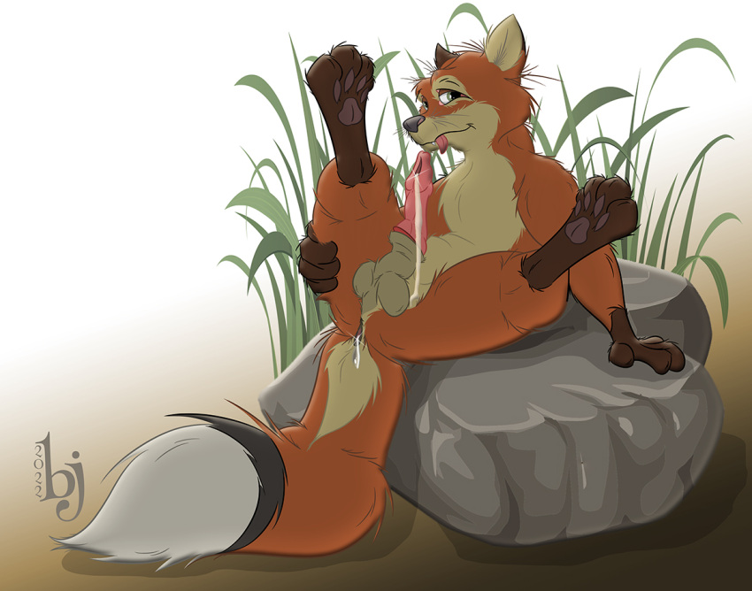 animal_genitalia anthro balls bodily_fluids canid canine dripping erection fox genital_fluids genitals looking_at_viewer male mammal pawpads precum precum_drip reclining sheath sherwood solo spread_legs spreading tongue tongue_out