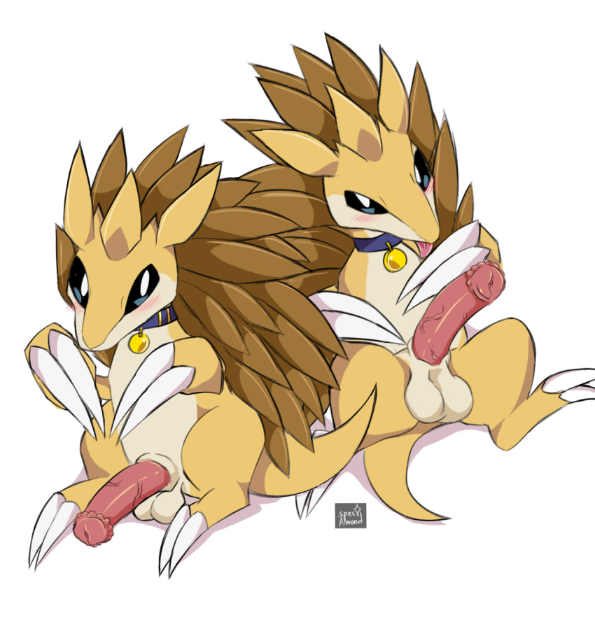 animal_genitalia balls big_penis blush claws collar erection generation_1_pokemon genitals hi_res long_nails male male_only nintendo penis pokemon pokemon_(species) sandslash solo spec_almond_(artist) tongue tongue_out vein veiny_penis