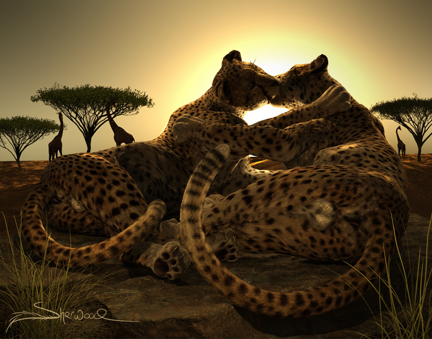 3d anus balls cheetah claws closed_eyes digital_media_(artwork) duo felid feline feral genitals holding_partner kissing lying male male/male mammal on_side outside pawpads rear_view sherwood signature tail