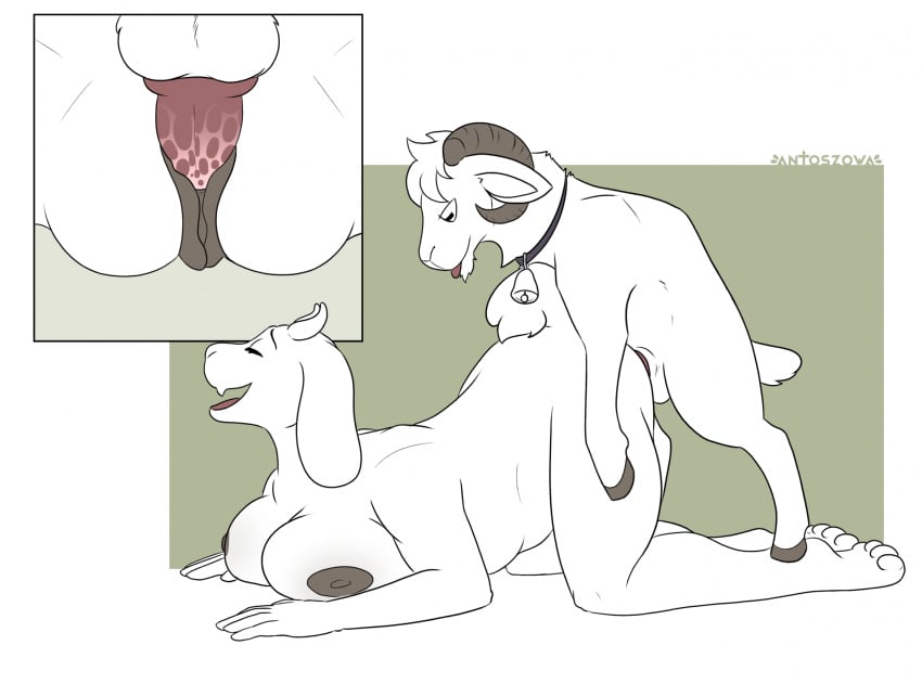 anthro anthro_on_feral antoszowa ass_up balls bell blep boss_monster_(undertale) bovid breasts caprine collar duo female feral genitals goat hi_res horn looking_pleasured male mammal open)smile penetration size_difference tongue tongue_out toriel undertale_(series) vaginal_penetration vaginal_penetration zoophilia