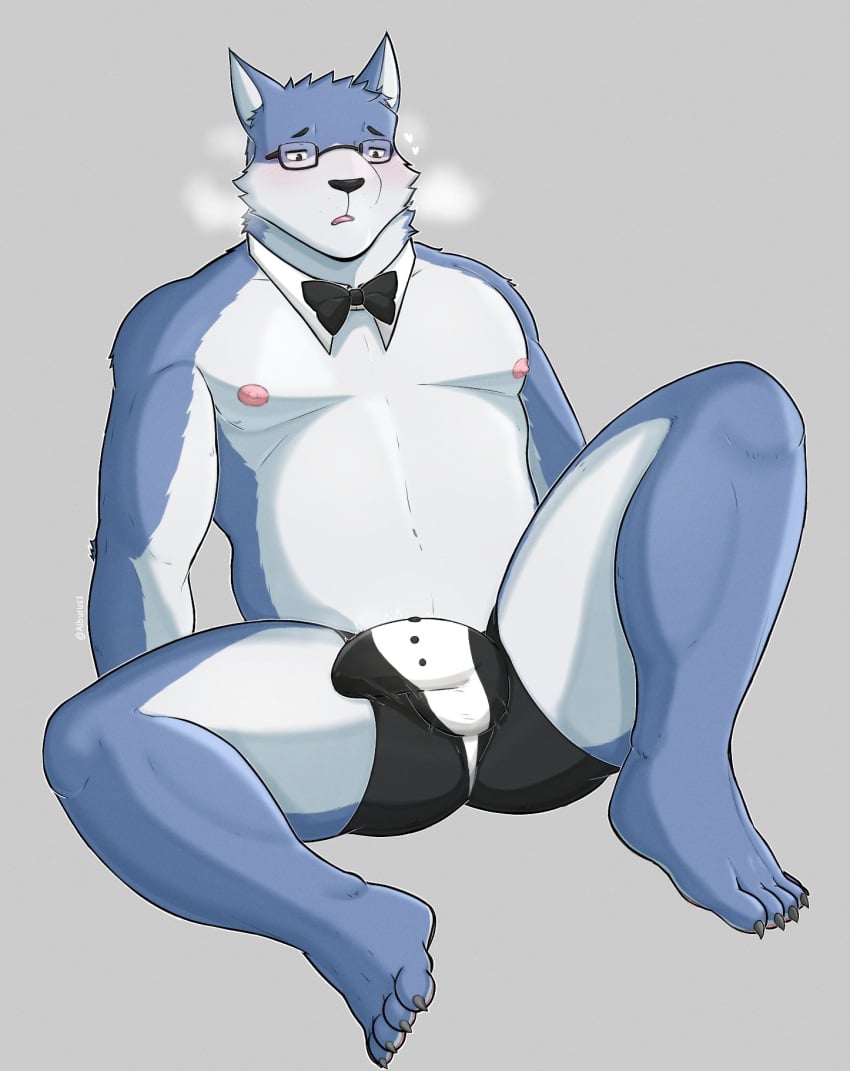 alburus anthro ass big_penis blue_body bow_ribbon breath bulge canid canine clothing eyewear fur genitals glasses heart_symbol hi_res male mammal multicolored_body multicolored_fur necktie nipples penis sitting slightly_chubby slightly_chubby_male solo throbbing throbbing_penis two_tone_body two_tone_fur underwear white_body white_fur