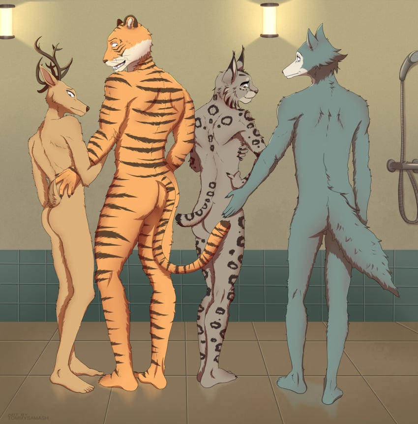 5_toes anthro antlers artist_name ass backsack balls beastars bill_(beastars) blue_body brown_body brown_fur brown_nose brown_stripes canid canine canis cel_shading communal_shower comparing deer fan_character feet felid feline feline_tail floor flurry_tail fur genitals grey_body group hand_on_back hand_on_butt hand_on_hip hi_res horn humanoid_feet inside kemono legoshi_(beastars) lights looking_back looking_down louis_(beastars) lynx male male/male mammal markings monotone_body monotone_fur nervous netflix nude orange_body pantherine plantigrade rear_view scut_tail shaded sharp_teeth short_tail shower_hose siberian_tiger side_by_side smile spots spotted_body spotted_fur standing striped_body striped_fur stripes tail teeth tiger tile tile_floor toes tommysamash wall_lights whiskers wolf