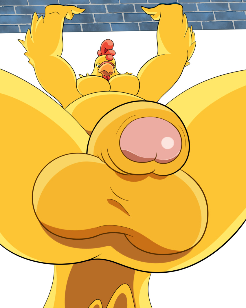 20th_century_fox 20th_century_studios anthro ass avian balls beak belly bird chicken digital_media_(artwork) ernie_the_giant_chicken family_guy feathers fuzzy_door_productions galliform gallus_(genus) genitals hi_res humanoid_genitalia humanoid_penis looking_at_viewer low-angle_view male nude overweight overweight_male penis phasianid pov_penis_closeup presenting raised_arms simple_background solo tail tail_feathers white_background worm's-eye_view wwd_october yellow_body