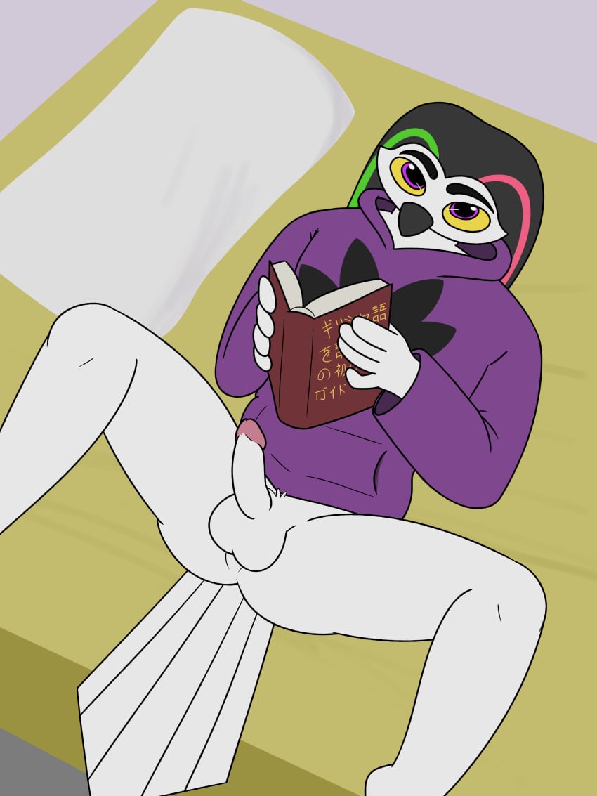 3:4 aaron_amethyst aaron_amethyst_(character) absurd_res anthro ass avian balls bed bird book bottomless clothed clothing erection furniture genitals hi_res high-angle_view hoodie hoodie_only horned_owl male owl penis purple_eyes snowy_owl solo topwear topwear_only true_owl yellow_sclera