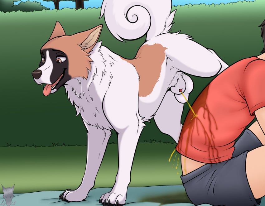 animal_genitalia animal_penis balls bodily_fluids bottomwear canid canine canine_genitalia canine_penis canis clothing digital_media_(artwork) domestic_dog duo feral feral_peeing fur genital_fluids genitals hi_res human human_peed_on lipsticking lycadio male mammal open_mouth outside paws peeing peeing_on_another peeing_on_clothing penis plant sheath shirt shorts sitting smile tail teeth tongue tongue_out topwear urine urine_on_ground urine_stream watersports wet wet_clothing