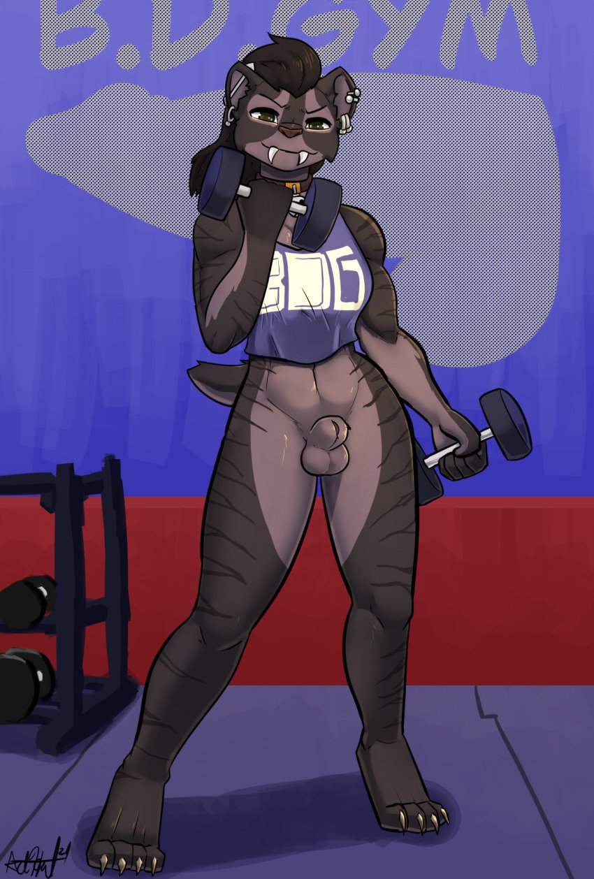 anthro bdgym bear213 bottomless bottomless_gynomorph bottomless_intersex breasts brown_body brown_fur clothed clothing fangs female fur genitals gynomorph hair hi_res intersex njasey penis piercing sabertooth_(anatomy) short_hair teeth weights