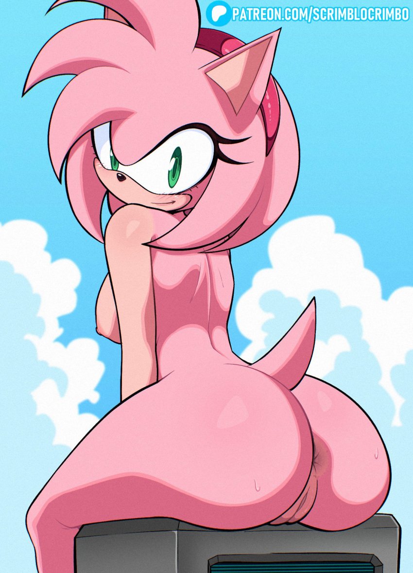 1girls amy_rose anus ass big_ass blush breasts furry_female green_eyes hedgehog hedgehog_girl looking_back nipples pink_body pink_skin pussy scrimblocrimbo sitting solo sonic_(series) sonic_the_hedgehog_(series) tagme