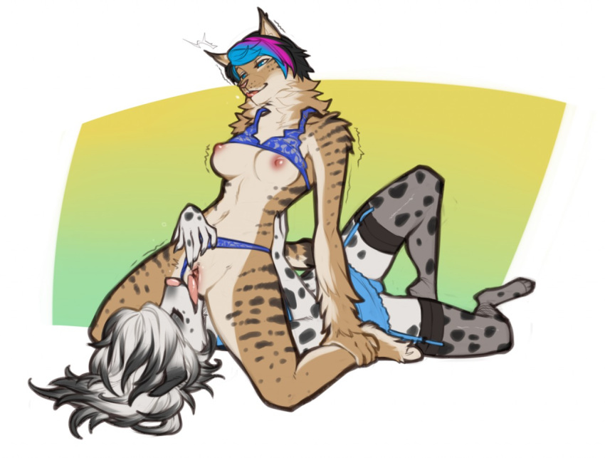 anthro big_breasts blush breasts canine clothed clothing dalmatian duo faydra_(neoshark) female fur hair kara_resch lying mammal nipples nude open_mouth penetration pussy sex simple_background spearfrost tongue tongue_out vaginal_penetration white_hair yuri