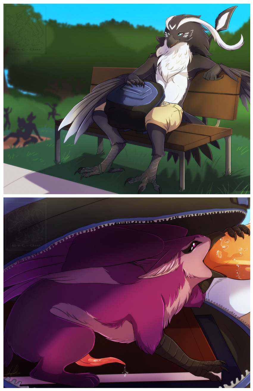 anthro arith_(arith_the_gryphon) arith_the_gryphon avian backpack beak bench big_dom_small_sub bird clothing comic duo erection feathers feral gryphon hi_res kurrikage male open_mouth oral park penis prehensile_penis size_difference talons wing-of-chaos wings yaoi