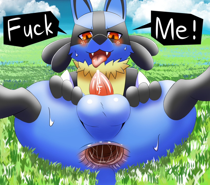 1boy anthro anus ass backsack blush canine cloud cum_on_penis erection fangs feet front_view furry gaping gaping_anus grass half-closed_eyes hand_on_thigh inviting jackal looking_at_viewer lucario lying male male_only mammal neck_tuft nintendo nude on_back open_mouth outdoors outside paws penis perineum pokemon pokemon_(species) pokemon_dppt precum presenting presenting_anus red_eyes seductive smile solo spread_legs spreading sweat tail tapering_penis teeth testicles text thick_thighs tongue tongue_out tuft video_games wycicus