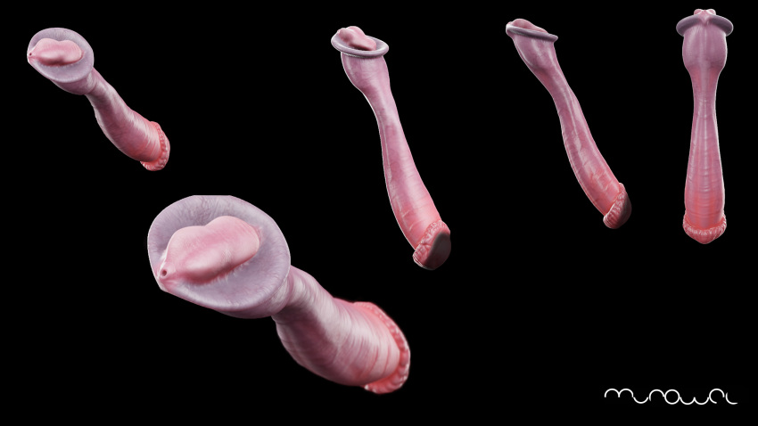 anatomically_correct anatomically_correct_genitalia anatomically_correct_penis animal_genitalia animal_penis anthro bear black_bear brown_bear disembodied_penis genitals hi_res male mammal penis ursine ursine_penis xmurowelx zero_pictured