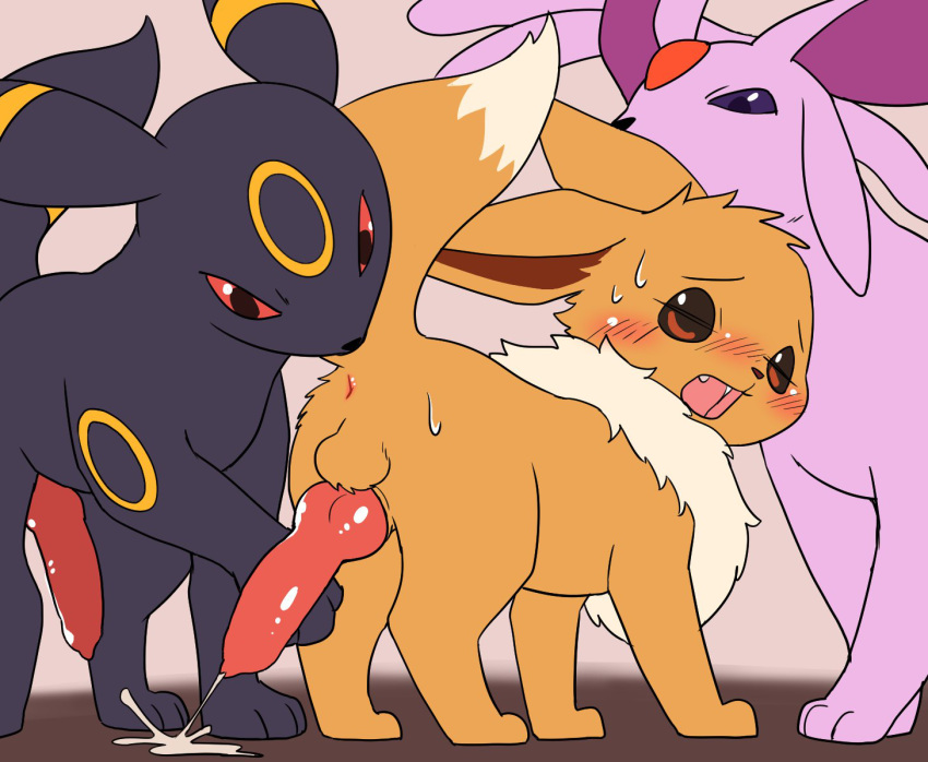 Eevee (Nintendo) Rule 34 Image