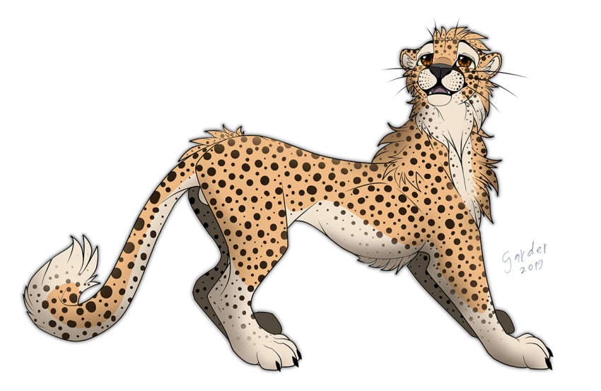 2019 ass_up balls barely_visible_genitalia cheetah claws digital_drawing_(artwork) digital_media_(artwork) fangs felid feline feral fur gard3r genitals looking_at_viewer male mammal markings open_mouth signature simple_background smile solo spots spotted_body spotted_fur standing teeth whiskers white_background