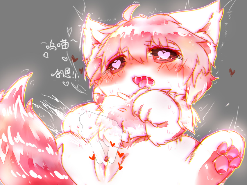 2017 bodily_fluids canid canine chinese_text deaic disembodied_hand ejaculation female feral fingering fur genital_fluids ghost_hands grey_background hair heart_symbol hi_res kemono mammal pawpads pink_body pink_fur pink_hair pink_pawpads pussy_ejaculation saliva shaded simple_background solo text vaginal_fluids white_body white_fur