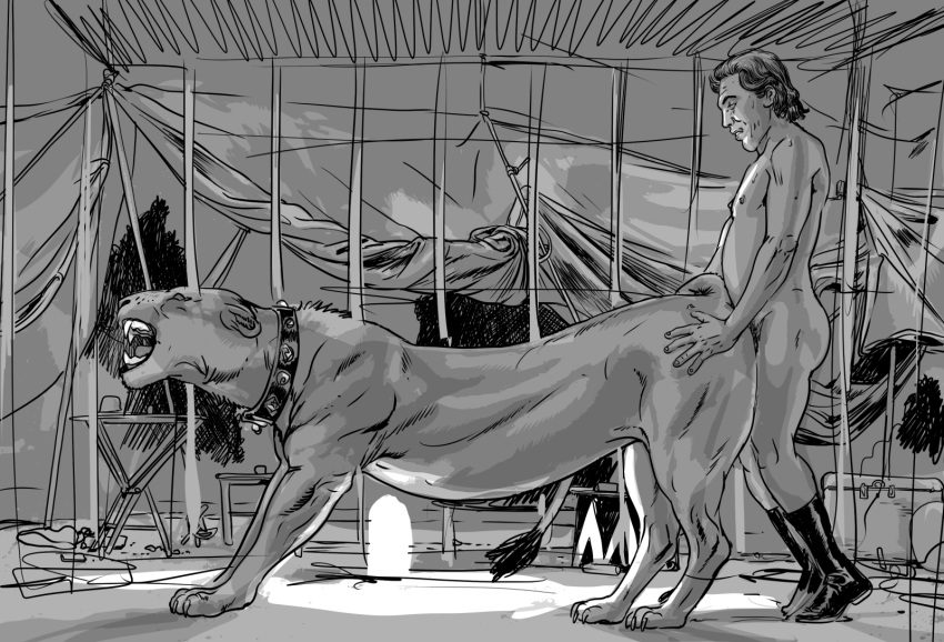 Bestiality Rule 34 Image