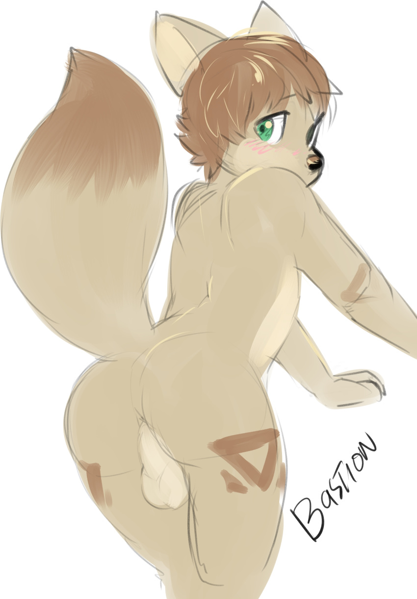 anthro ass backsack balls bastion blush brown_fur canid canine fox fur gavin_camacho green_eyes looking_back male male_only mammal simple_background sketch solo standing