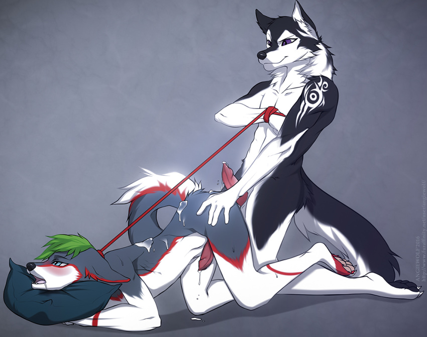 2016 angiewolf anthro bondage canine cum hair male mammal romantic_couple sex snowy yaoi