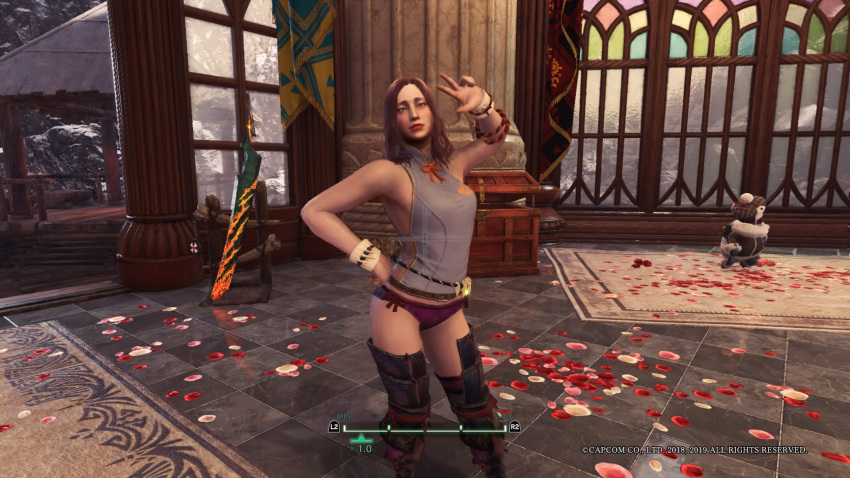 Hunter (Monster Hunter) Rule 34 Image