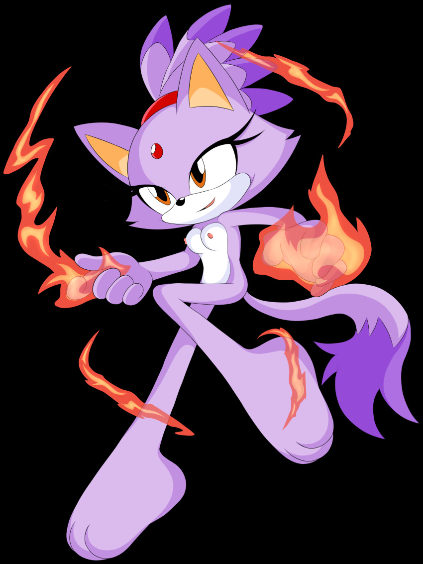 blaze_the_cat j_nsfw sonic_(series) sonic_the_hedgehog_(series)