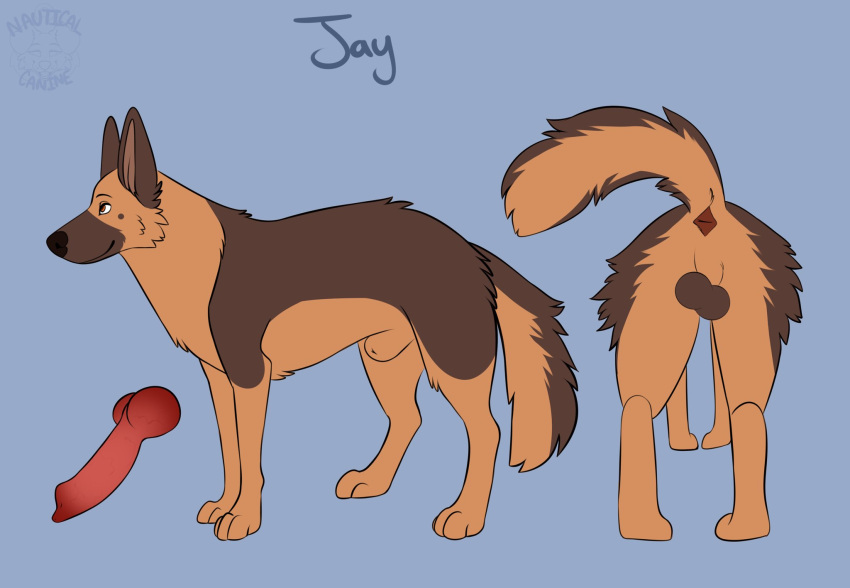 Jay (Nauticalcanine) Rule 34 Image