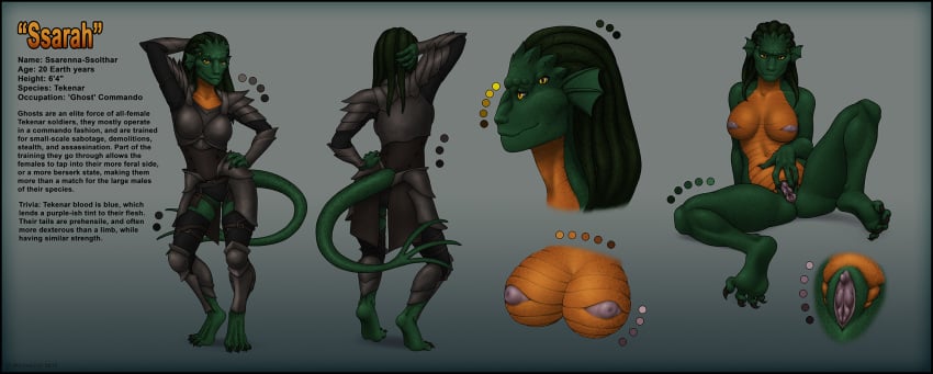 2015 alien anthro armor breasts clothed clothing female green_scales inverted_nipples lizard looking_at_viewer model_sheet multi_eye multicolored_scales nipples non-mammal_breasts nude orange_scales purple_nipples purple_pussy pussy reptile scales scalie simple_background solo spread_pussy spreading ssarenna tekenar two_tone_scales white_sclera wickedj yellow_eyes