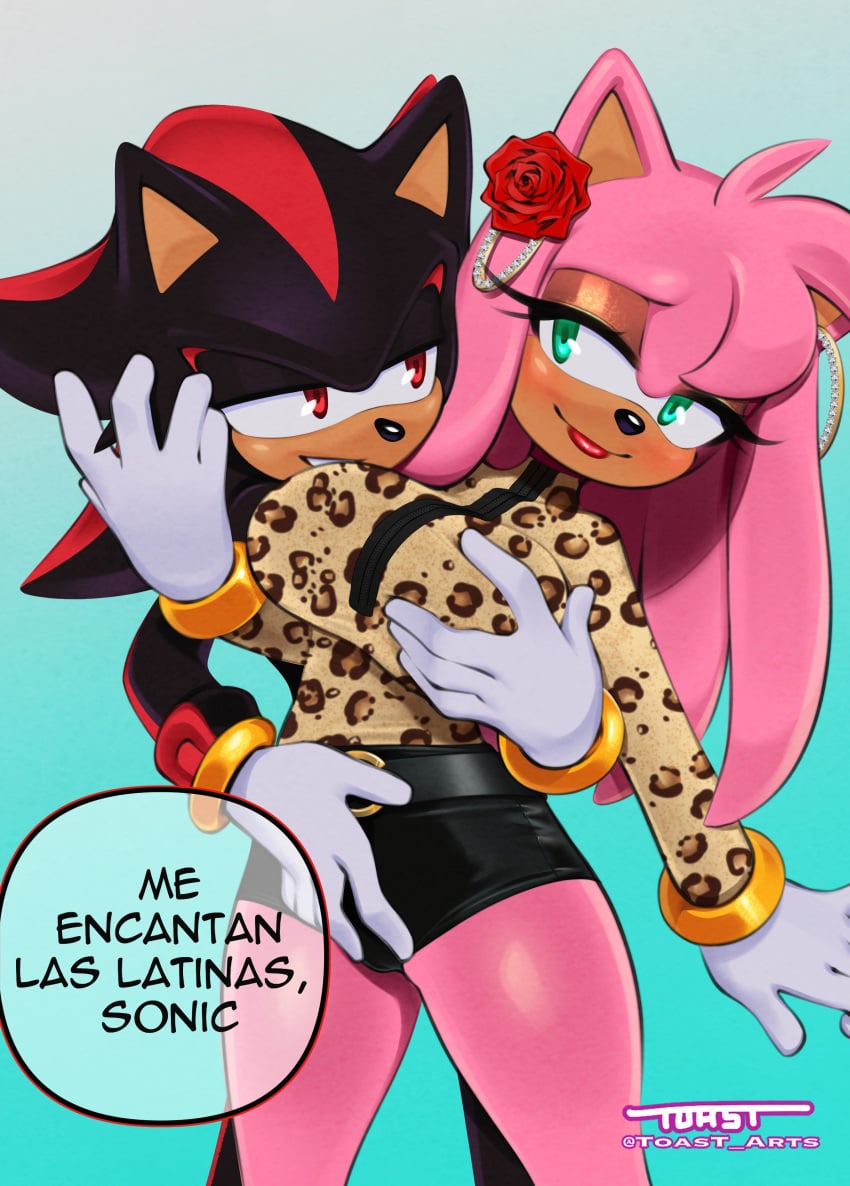 Amy Rose (Sonic (Series)) Rule 34 Image
