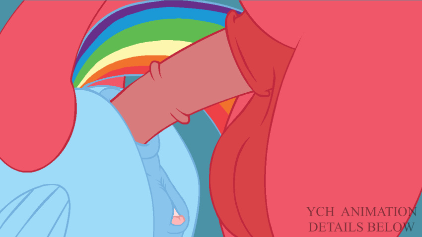 anal anal_sex animal_genitalia animal_pussy animated anus balls big_balls big_macintosh_(mlp) equine equine_pussy female friendship_is_magic hair horse huge_balls mammal medial_ring multicolored_hair my_little_pony pegasus penetration penis pony pussy rainbow_dash_(mlp) sex straight_hair tentacle-muffins wings