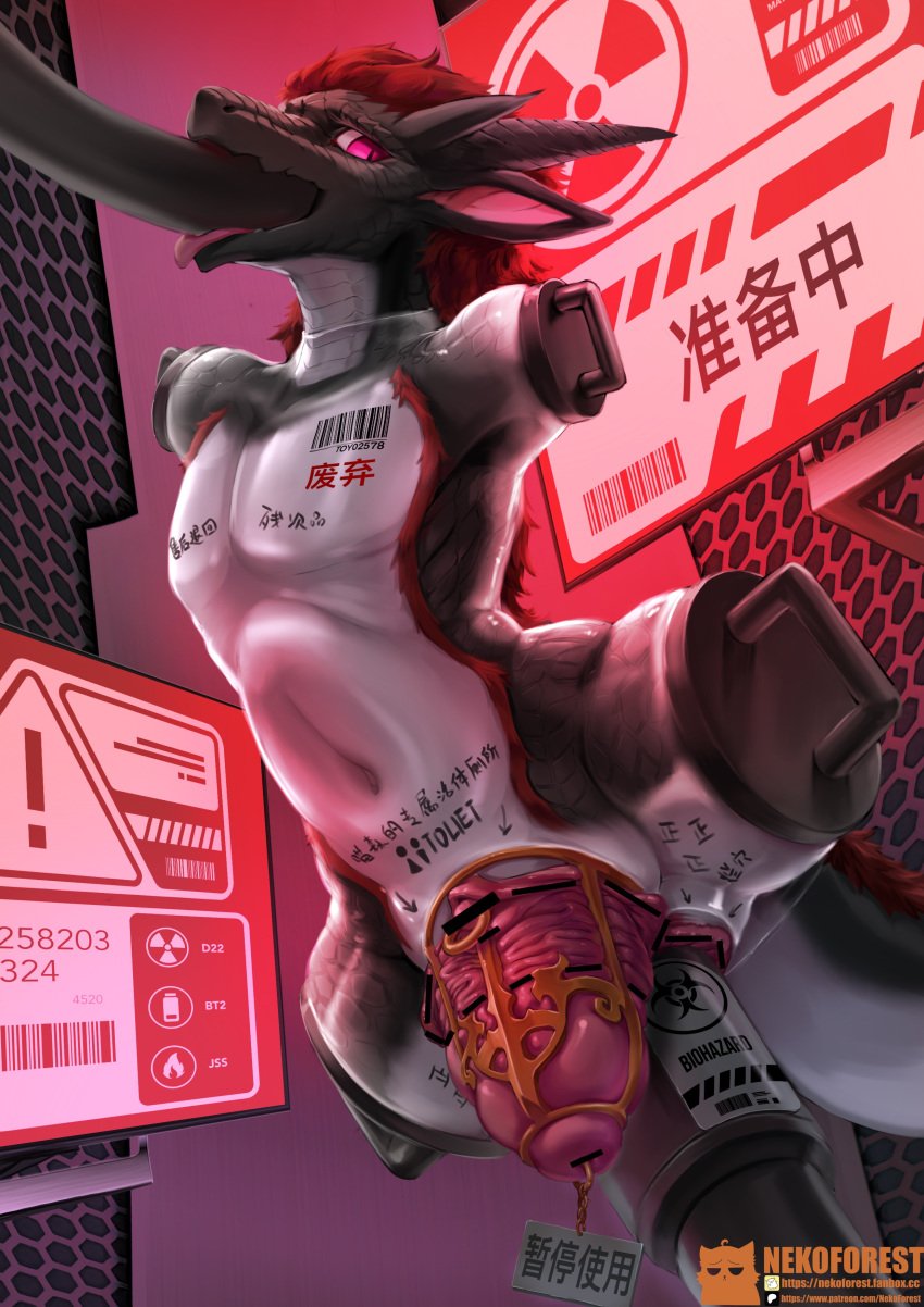 1girls absurd_res amputee anal anal_sex cervix_piercing clitoris clitoris_piercing disability female furry genital_piercing genitals hi_res markings nekoforest penetration piercing prolapse quadruple_amputee solo stump_cap text url vaginal_prolapse