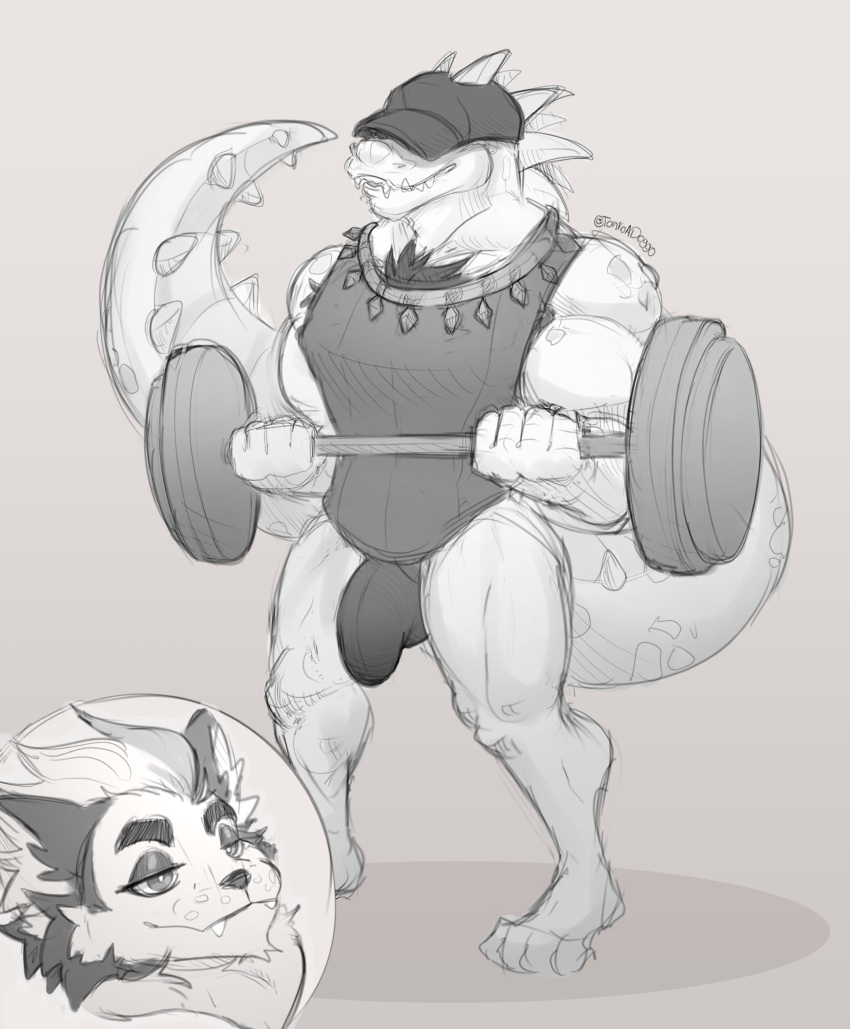 absurd_res alligator alligatorid anthro aroused big_tail bulge canid canine canis clothing crocodilian domestic_dog duo exercise exhibitionism fangs hat headgear headwear hi_res husky jockstrap male male_only mammal nordic_sled_dog reptile scales scalie spitz stare tail teeth tonkotsu_spicy_noodle underwear workout