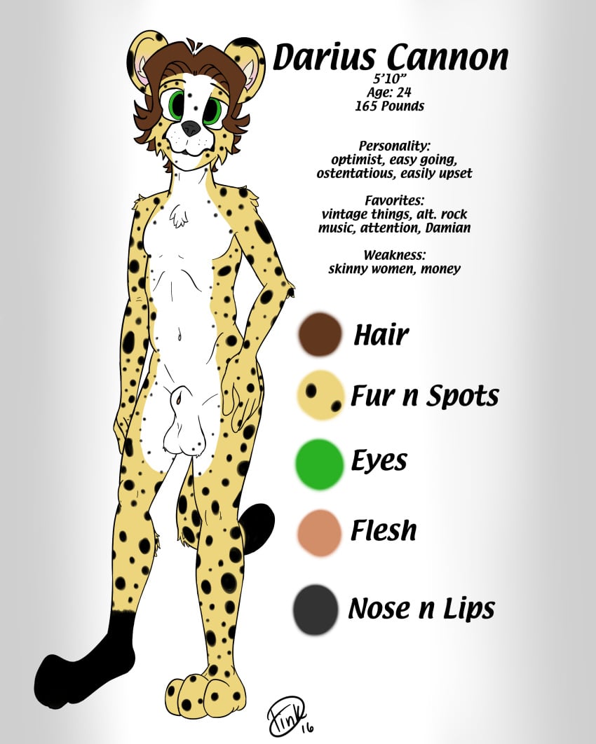 1boy 2016 animal_genitalia anthro art_reference balls cheetah darius_cannon dink_arts feline fur hair looking_at_viewer male male_only mammal model_sheet nude sheath solo standing