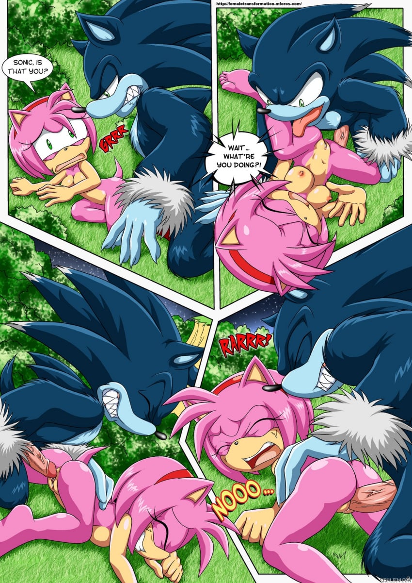 Amy Rose (Sega) Rule 34 Image
