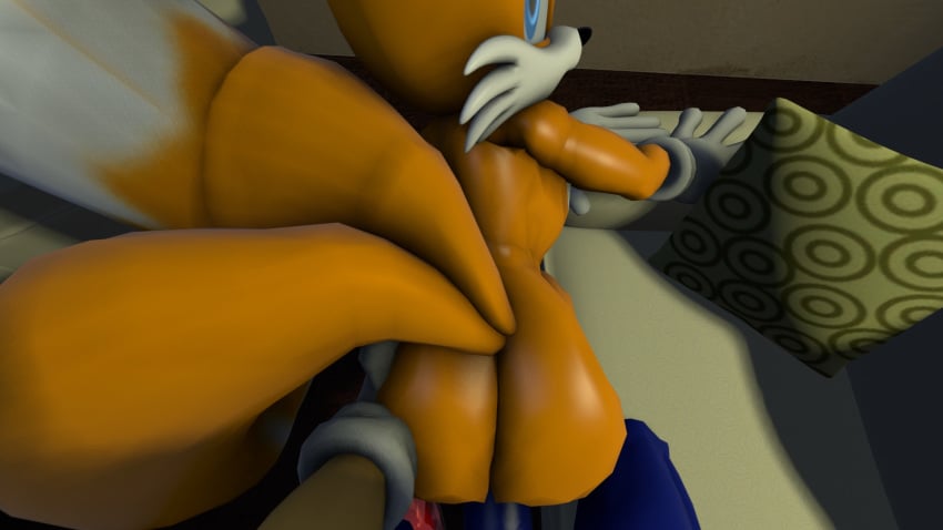 2016 3d anal anal_sex anthro canine darksorm duo erection fox furry_tail hedgehog male mammal multiple_tails nude penetration penis pov sonic_(series) sonic_the_hedgehog tail tails yaoi