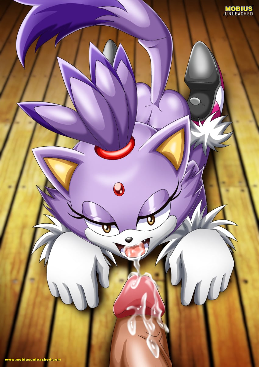 Blaze The Cat (Sega) Rule 34 Image