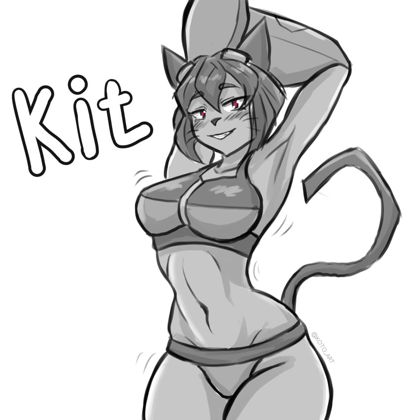 Kit (Gameoverse) Rule 34 Image