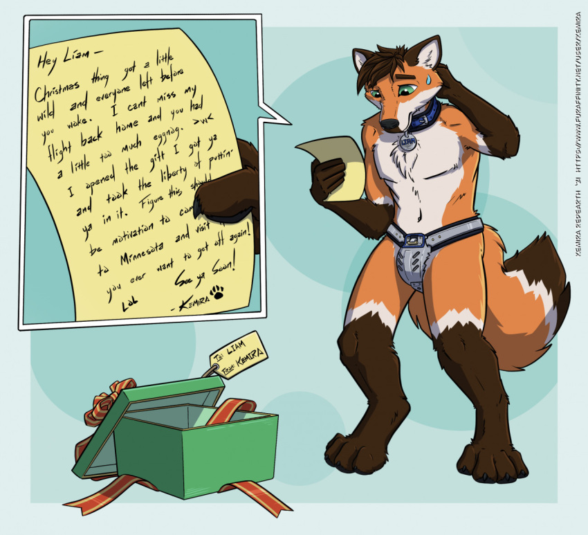 2021 anthro artist_name belly black_snout blue_collar bodily_fluids box brown_body brown_eyebrows brown_fur brown_hair canid canine chastity_belt chastity_device chastity_device_only christmas collar collar_only collar_tag container dipstick_tail english_text eyebrows footprint fox fur gift green_background green_eyes hair hand_on_head holidays kemira letter liam_(tempestus_vulpis) male mammal markings metal_chastity_belt nude orange_body orange_fur paper pawprint reading reading_paper red_fox ribbons simple_background solo sweat sweatdrop tail tail_markings tan_belly tan_body tan_fur text true_fox