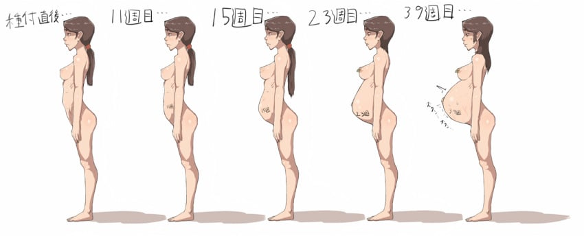 1girls belly big_belly breasts brown_hair female koones nipple_piercing nipples nude piercing pregnancy_progression pregnant sequence