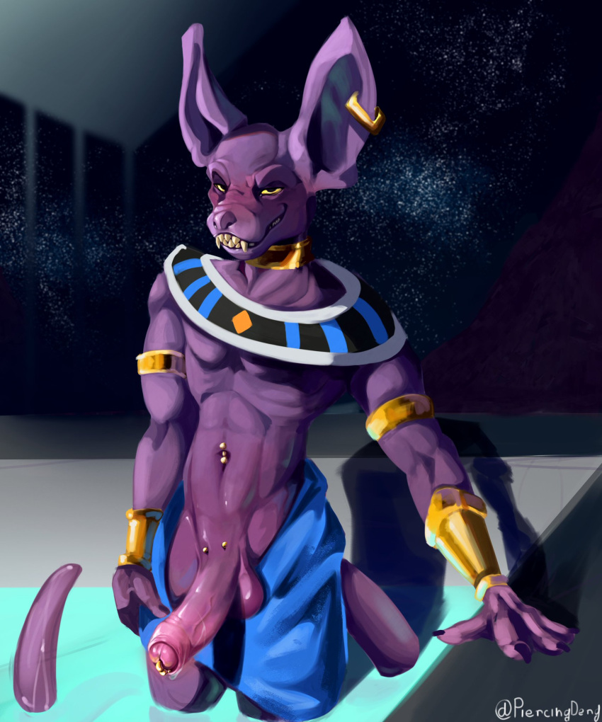 anthro balls beerus boner dragon_ball dragon_ball_super dragon_ball_z erection feline feline furry male male_only pants_down penis piercingderg purple_body purple_skin solo solo_male