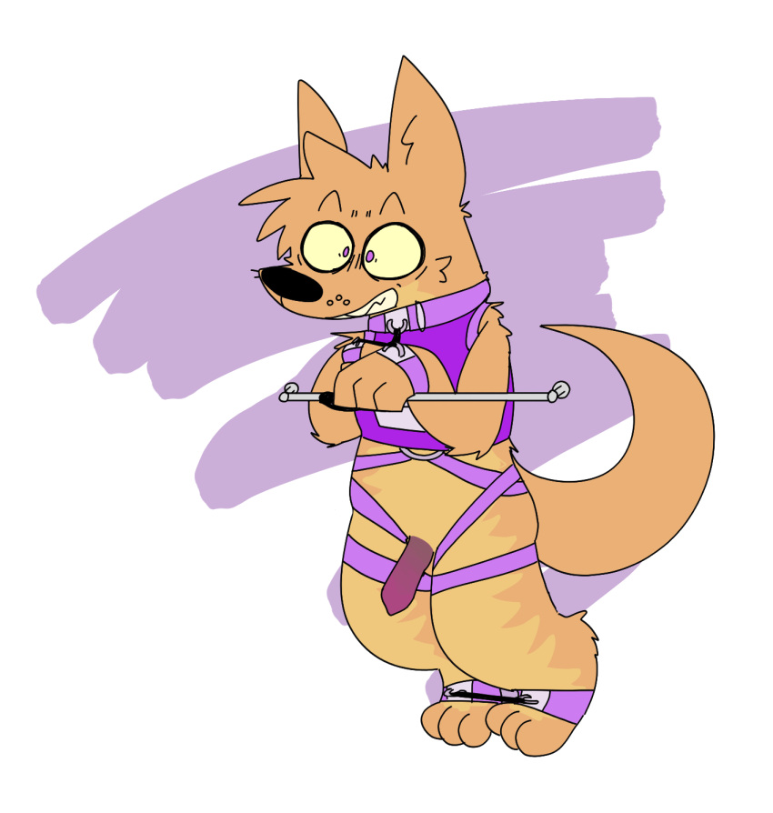 Canguuro (Character) Rule 34 Image