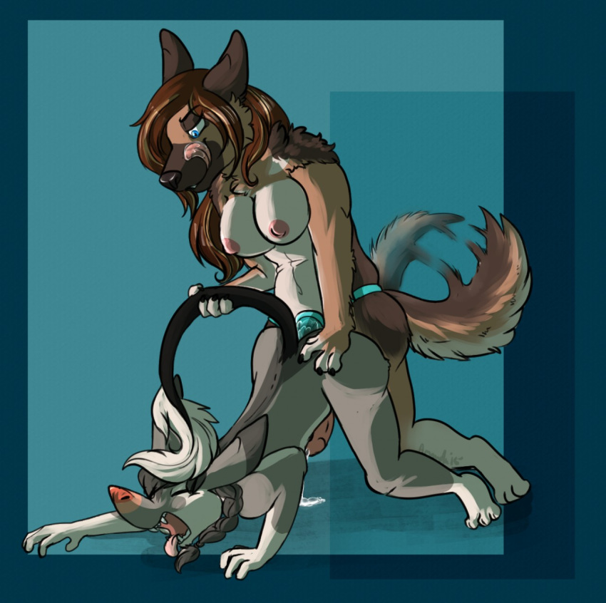 1boy 1girl 1girls amanda_(artist) anthro bilby carmen doggy_style felix_(mojavecoyote) female female_penetrating female_penetrating_male german_shepherd male male_penetrated malesub pegging strap-on strapon taken_from_behind